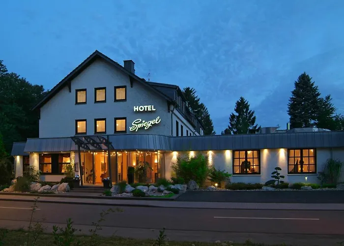 Hotel dichtbij College: Hotel Spiegel